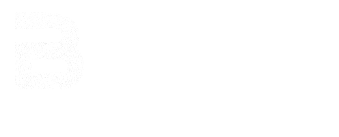 Baddeh Solutions LTD